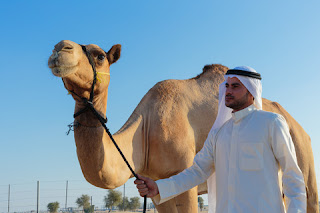 صورة